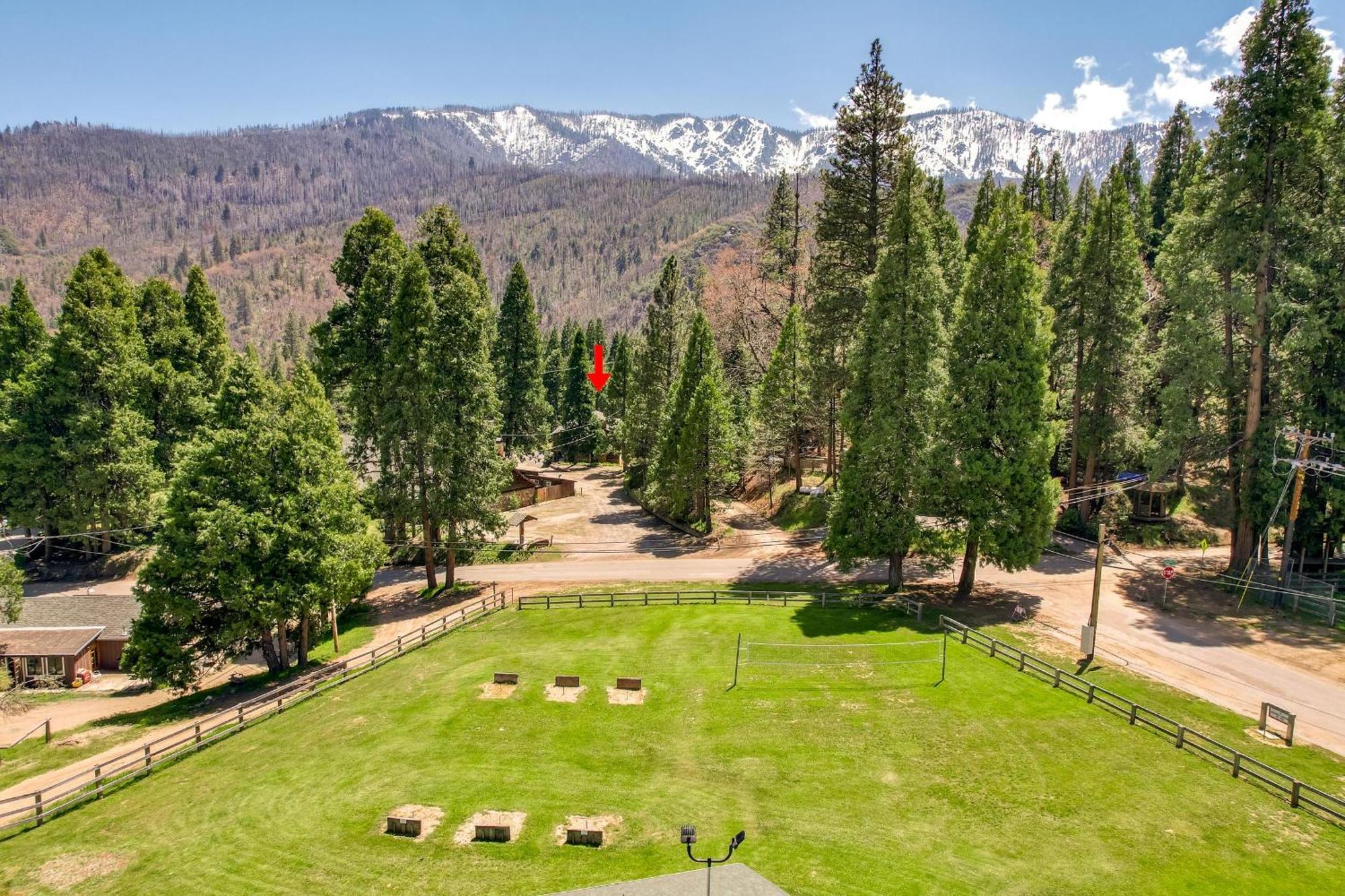 Camp Nelson Lodge Room 10 Ponderosa Dış mekan fotoğraf